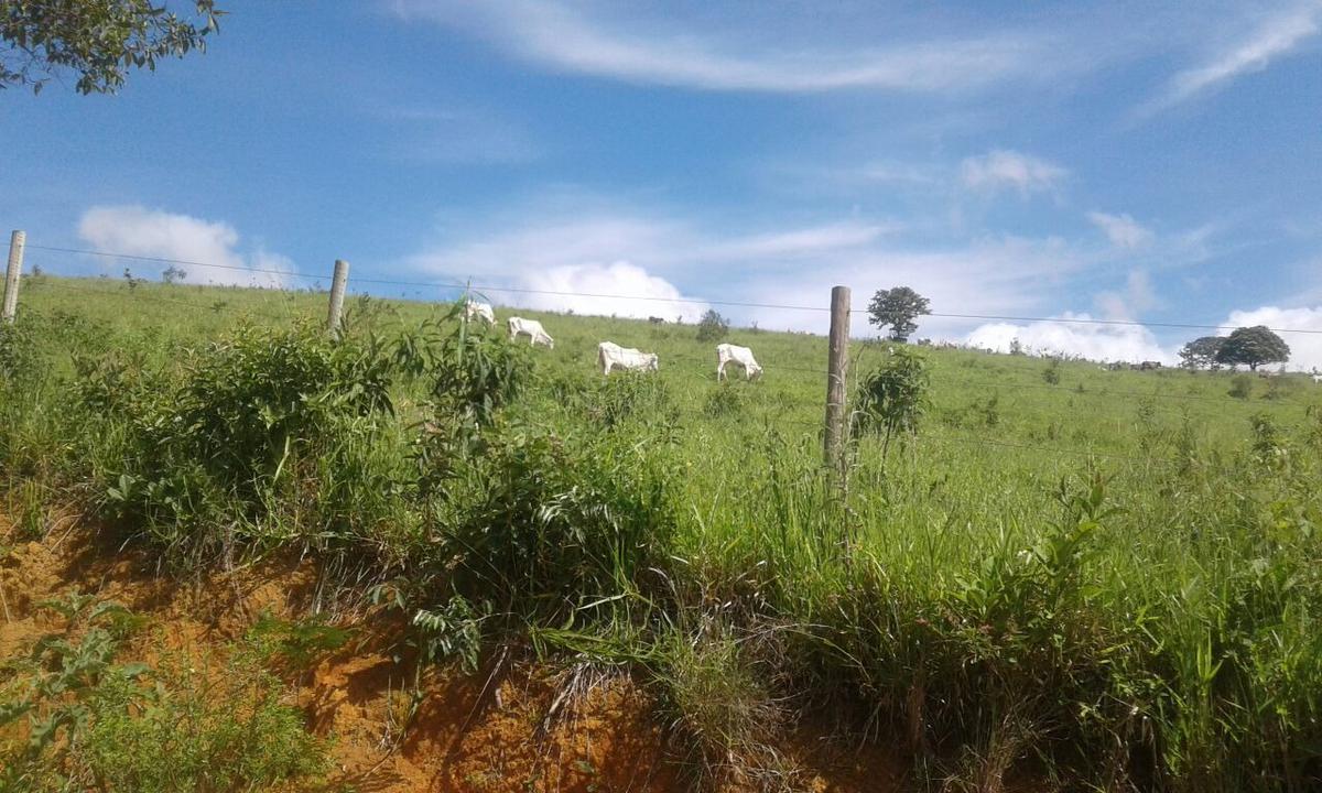 Fazenda, Centro, 1 Quarto, 1 Vaga, 1 Suíte