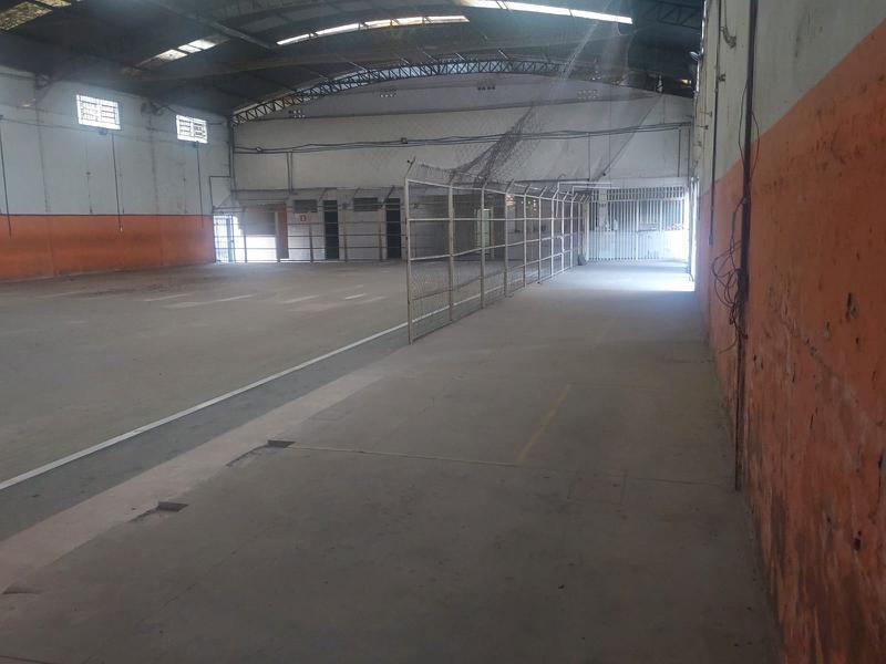 Galpão, Cinquentenário