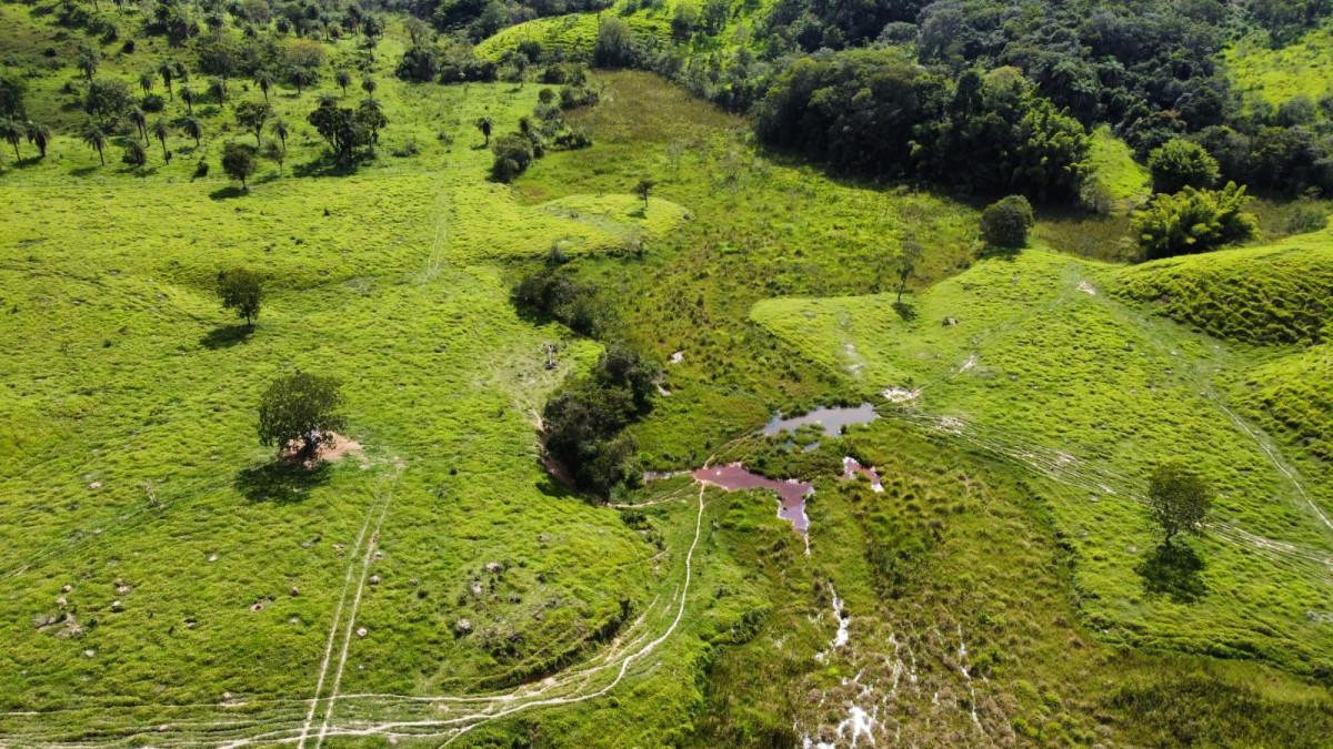 Fazenda, Centro, 0 Quarto, 0 Vaga