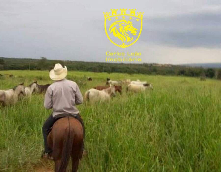 Fazenda, Centro, 3 Quartos, 4 Vagas, 1 Suíte