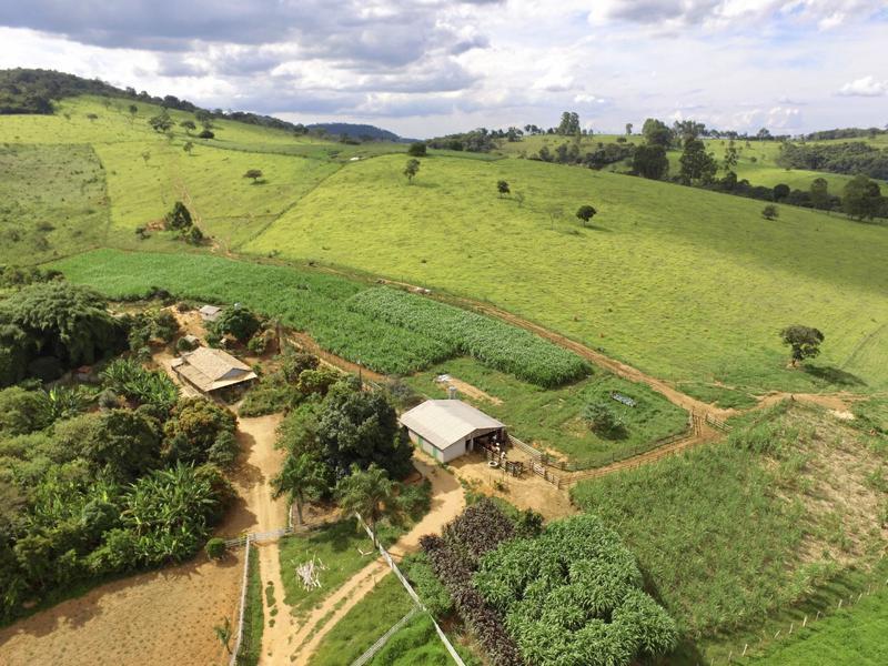 Fazenda, 4 Quartos, 1 Suíte