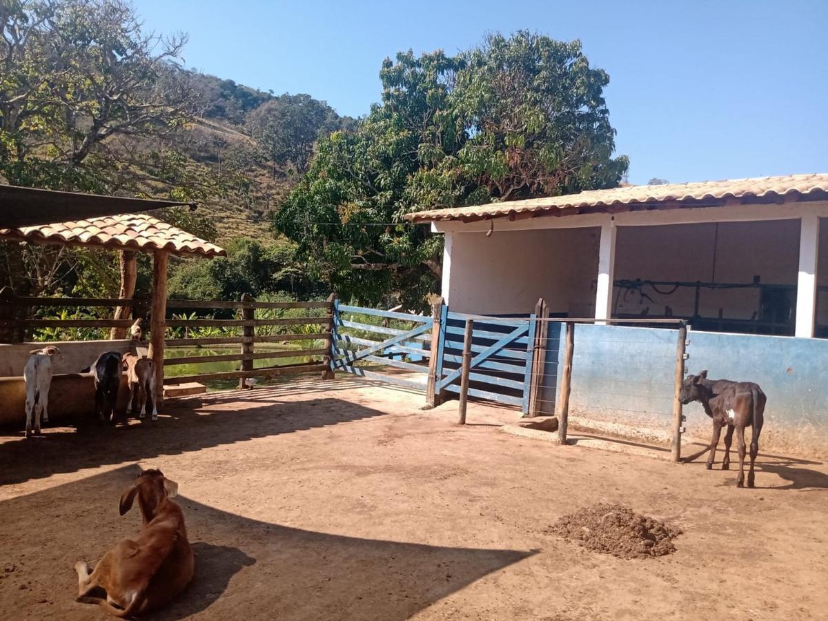 Fazenda, Centro, 3 Quartos, 0 Vaga, 2 Suítes