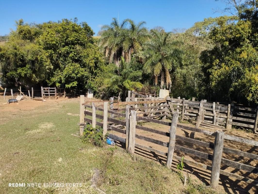 Fazenda, Centro, 3 Quartos, 0 Vaga