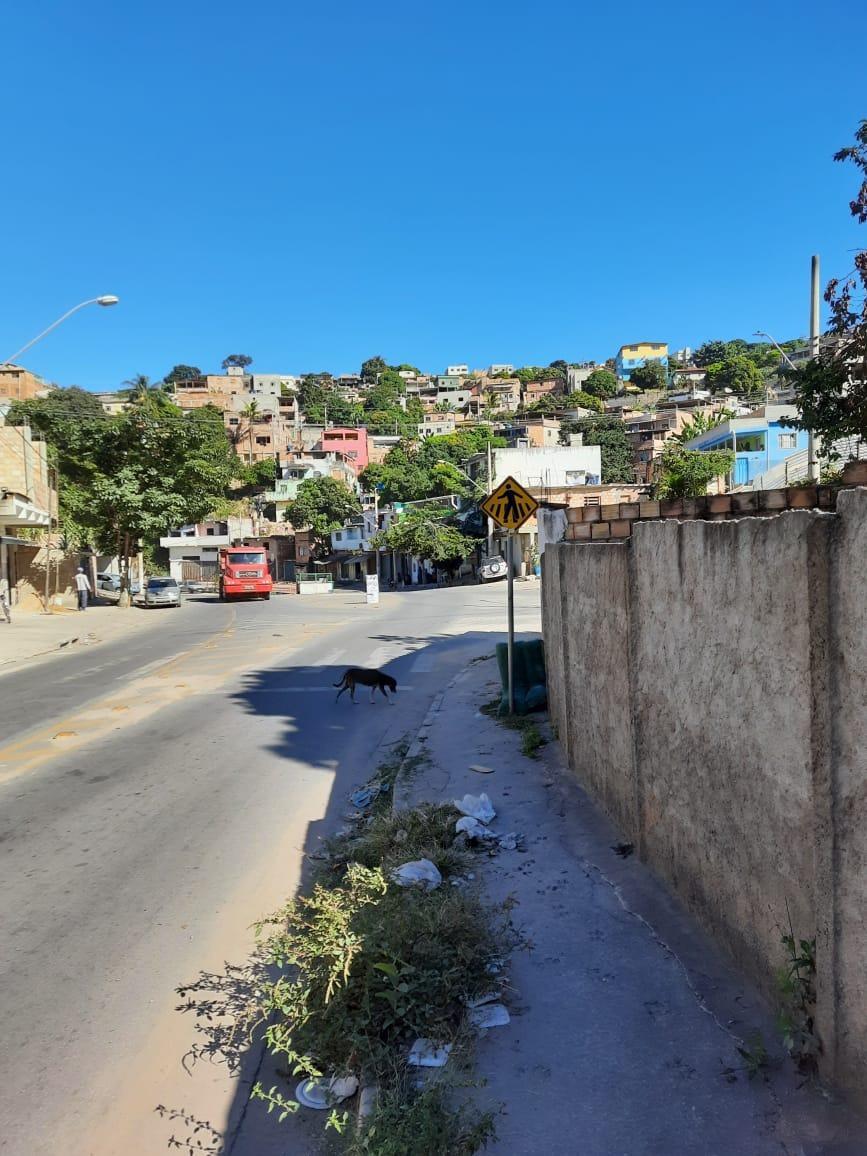 Lote, Sol Nascente, 0 Quarto, 0 Vaga