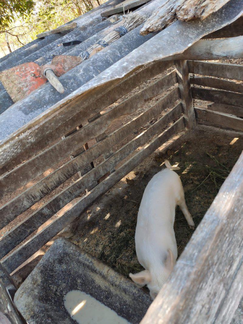 Fazenda, Tombadouro, 0 Quarto, 0 Vaga