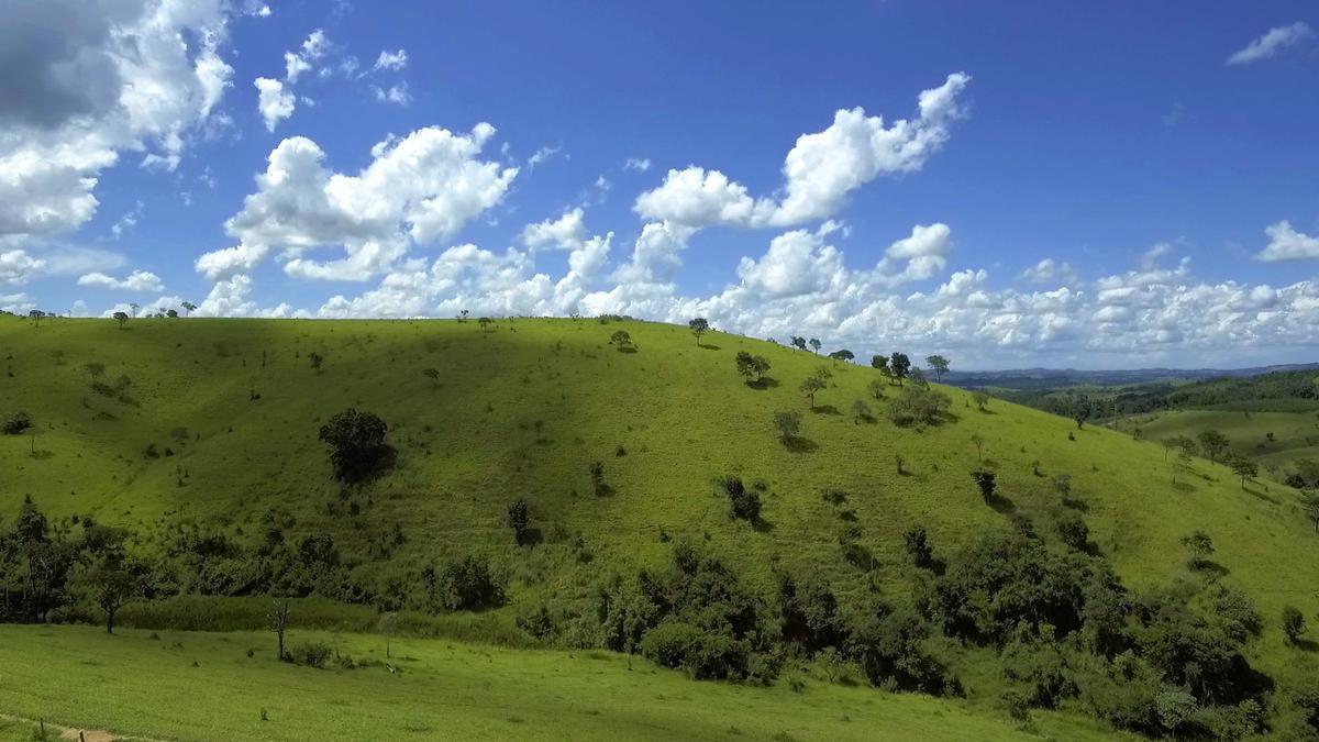 Fazenda, Centro, 1 Quarto, 1 Vaga