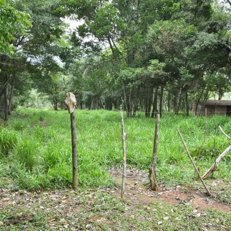 Fazenda, Centro, 3 Quartos, 1 Vaga, 1 Suíte