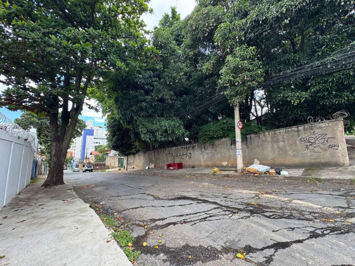 Lote, São Luiz (pampulha), 0 Quarto, 0 Vaga