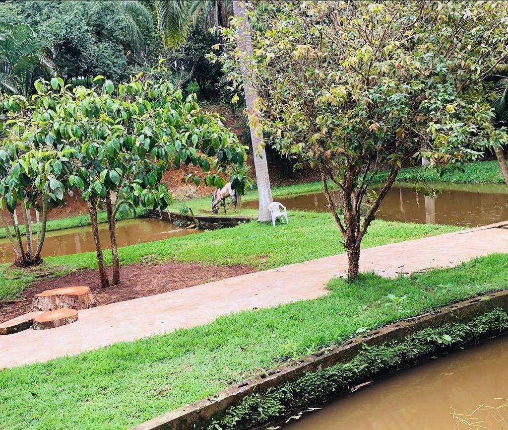Fazenda, Recanto do Igarapé, 4 Quartos, 4 Vagas, 1 Suíte