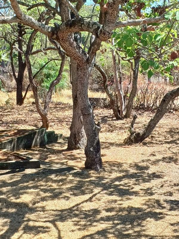 Lote, Recanto da Lagoa, 0 Quarto, 0 Vaga