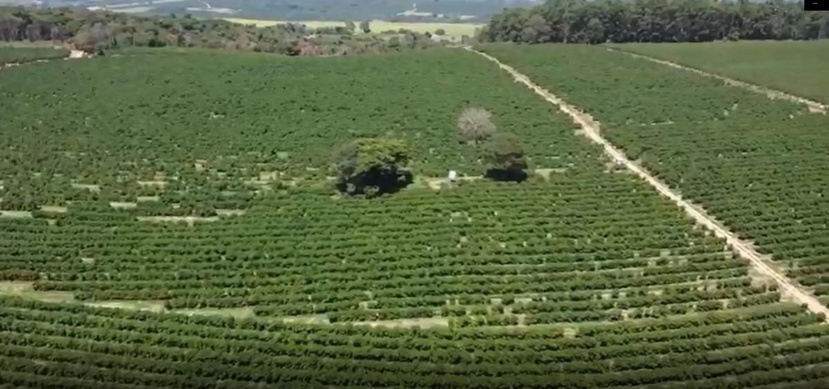 Fazenda, Zona Rural, 0 Quarto, 0 Vaga