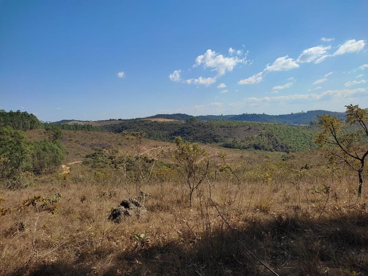 Lote, Penedo, 0 Quarto, 0 Vaga
