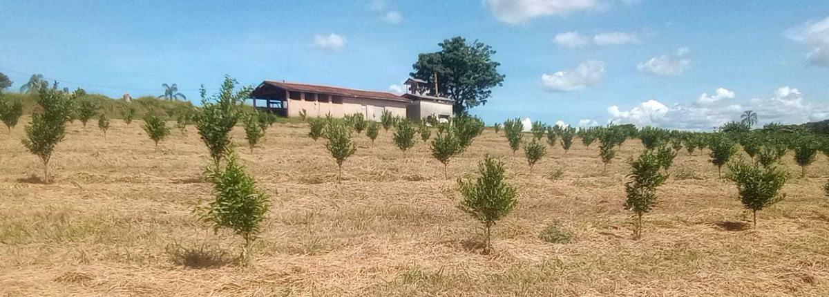 Fazenda, Zona Rural, 3 Quartos, 0 Vaga