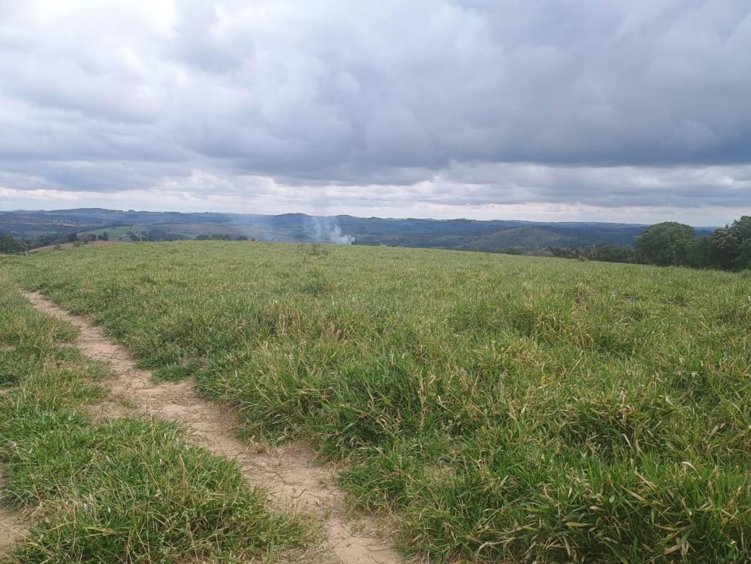 Fazenda, Zona Rural, 0 Quarto, 0 Vaga