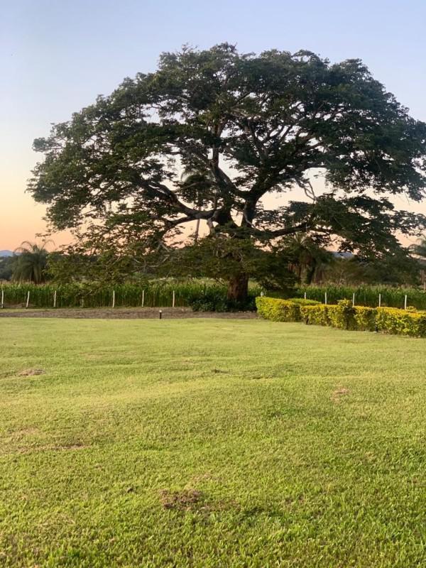 Fazenda, Centro, 3 Quartos, 10 Vagas, 1 Suíte