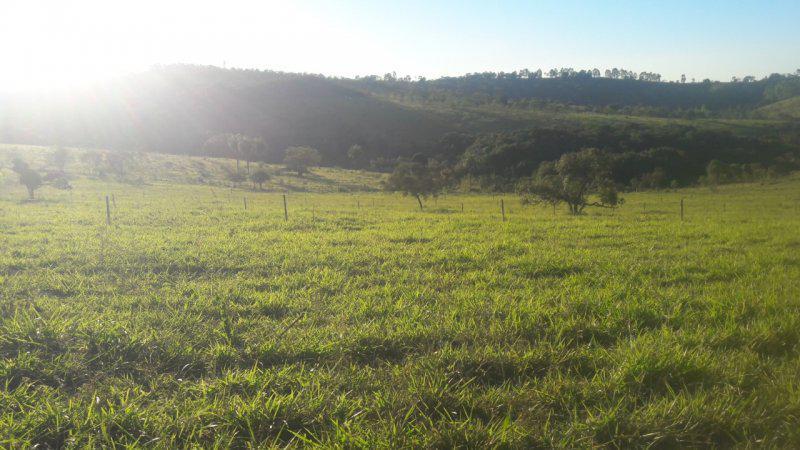 Fazenda, Centro, 0 Quarto, 0 Vaga