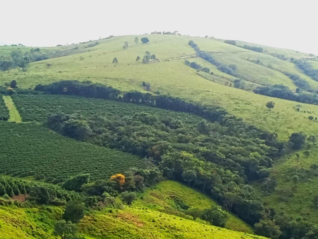 Fazenda, Zona Rural, 0 Quarto, 0 Vaga