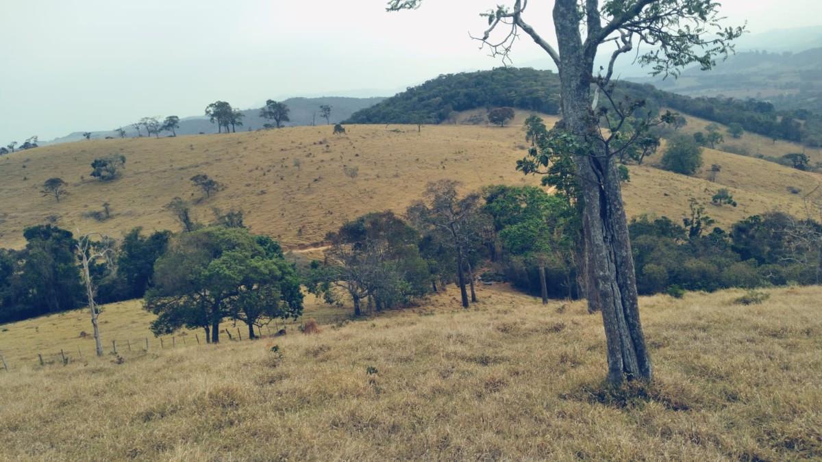 Fazenda, Zona Rural, 0 Quarto, 0 Vaga