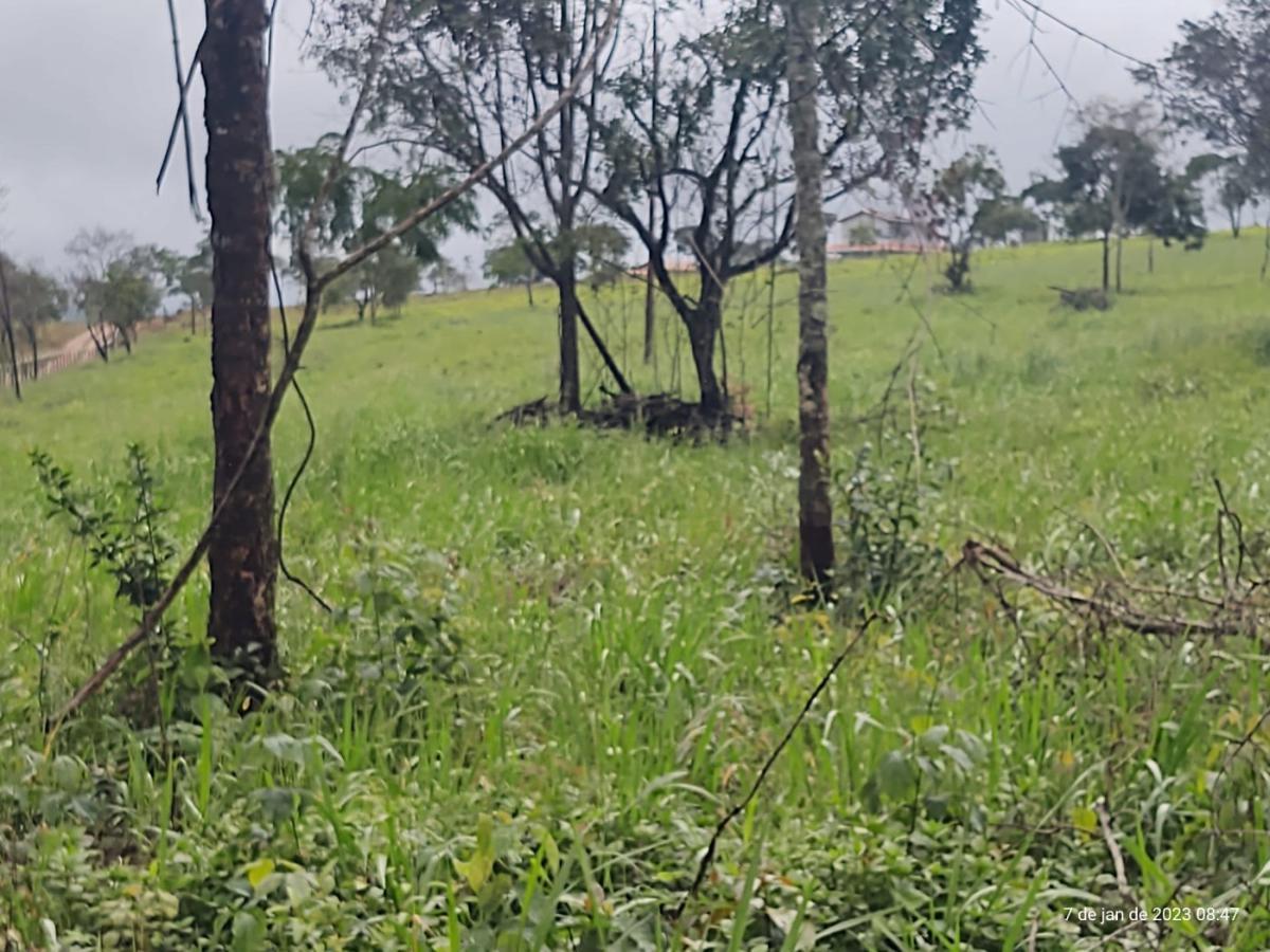 Fazenda, Centro, 3 Quartos, 4 Vagas, 1 Suíte