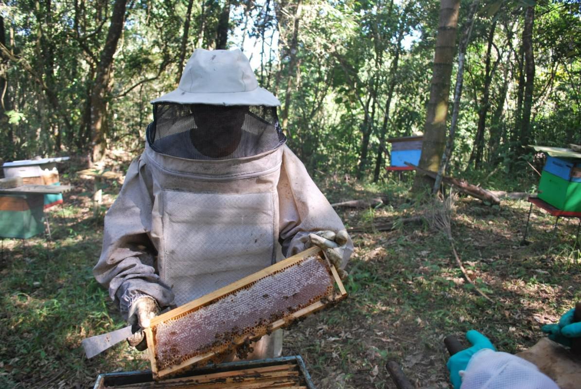 Fazenda, Zona Rural, 0 Quarto, 0 Vaga