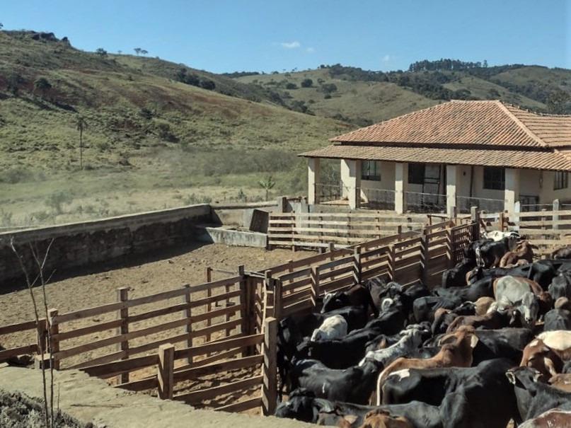 Fazenda, Centro, 2 Quartos, 1 Vaga, 1 Suíte