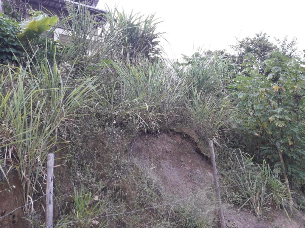 Lote, Morro São Francisco, 0 Quarto, 0 Vaga