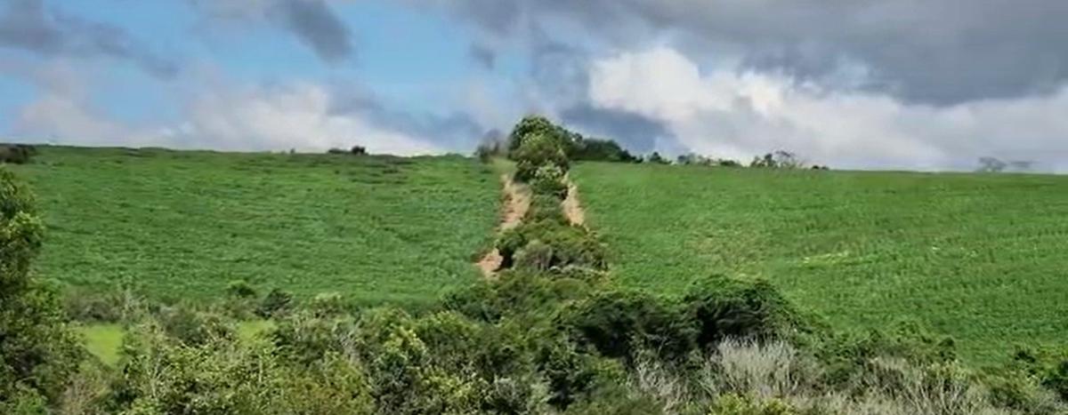 Fazenda, Centro, 1 Quarto, 1 Vaga