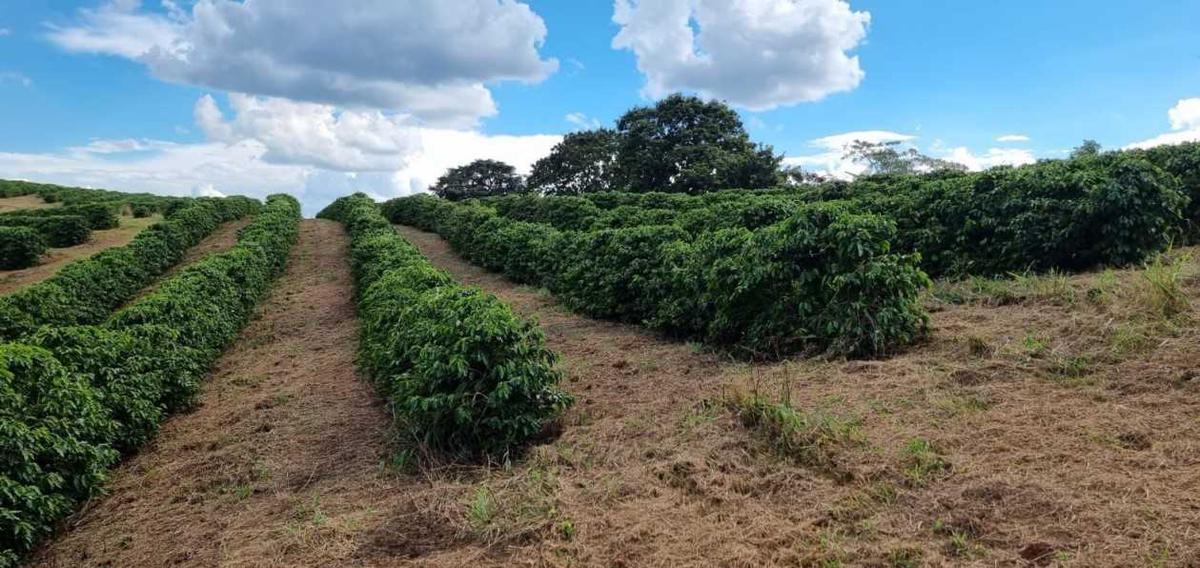 Fazenda, Zona Rural, 2 Quartos, 0 Vaga