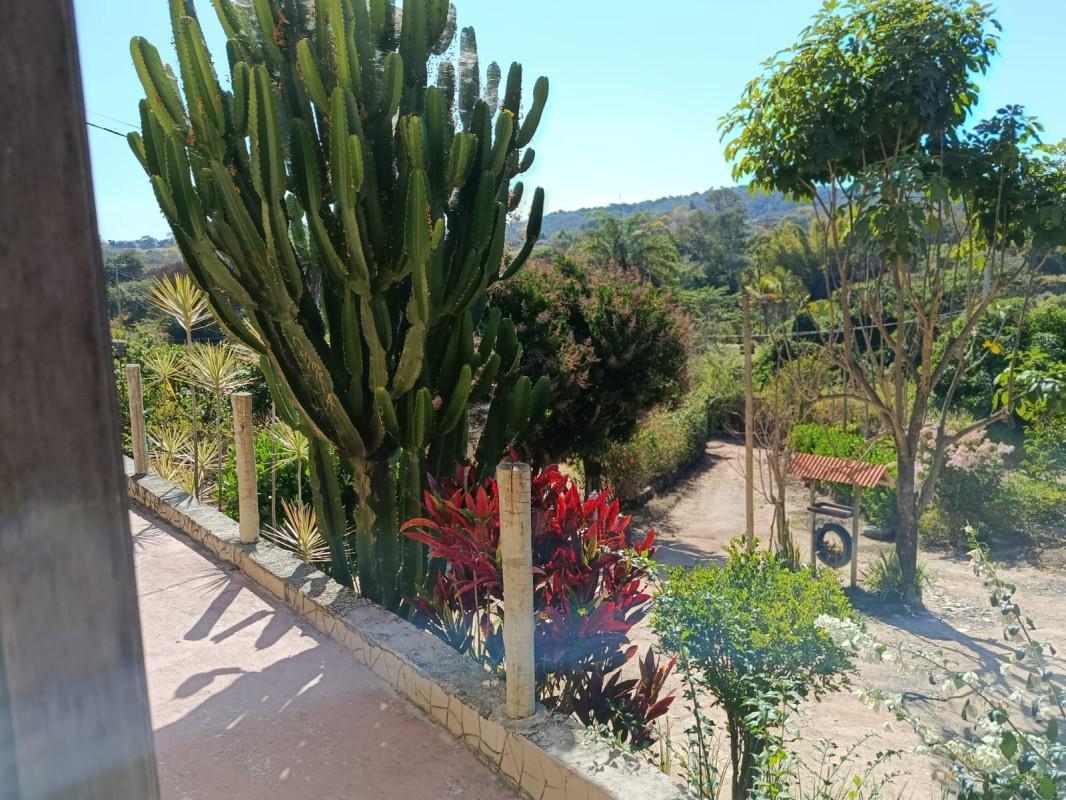 Fazenda, Centro, 3 Quartos, 3 Vagas, 1 Suíte