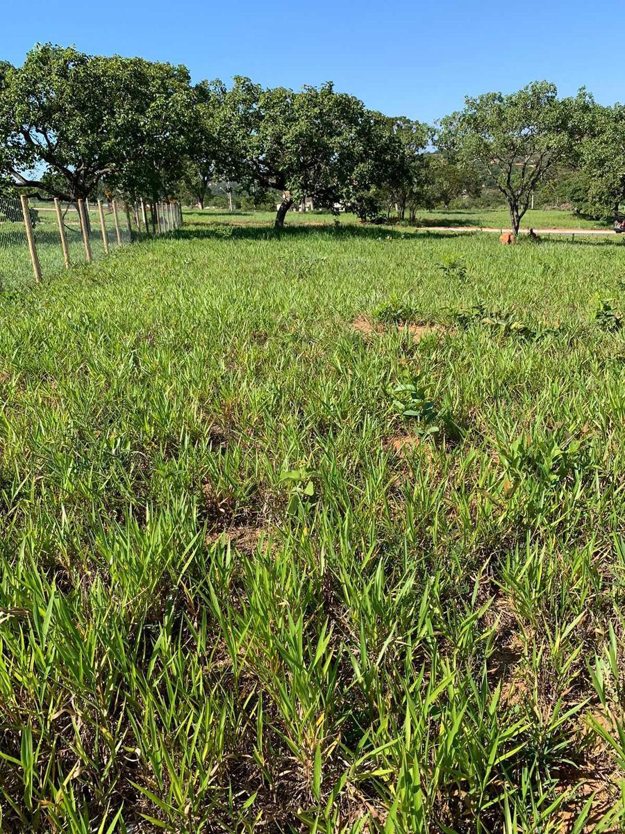 Lote, Fazenda Coqueiral, 0 Quarto, 0 Vaga
