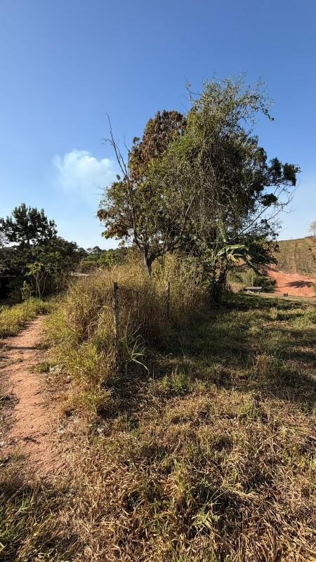 Lote, Centro, 0 Quarto, 0 Vaga