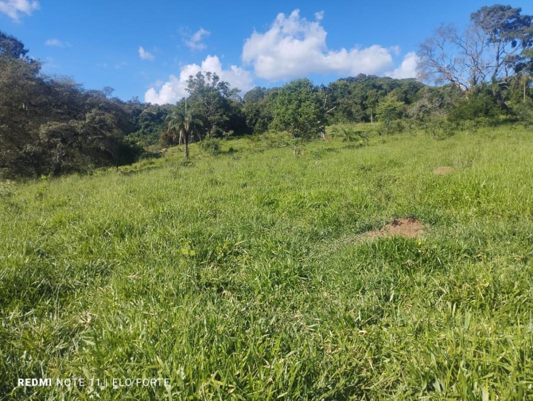 Fazenda, Zona Rural, 0 Quarto, 0 Vaga