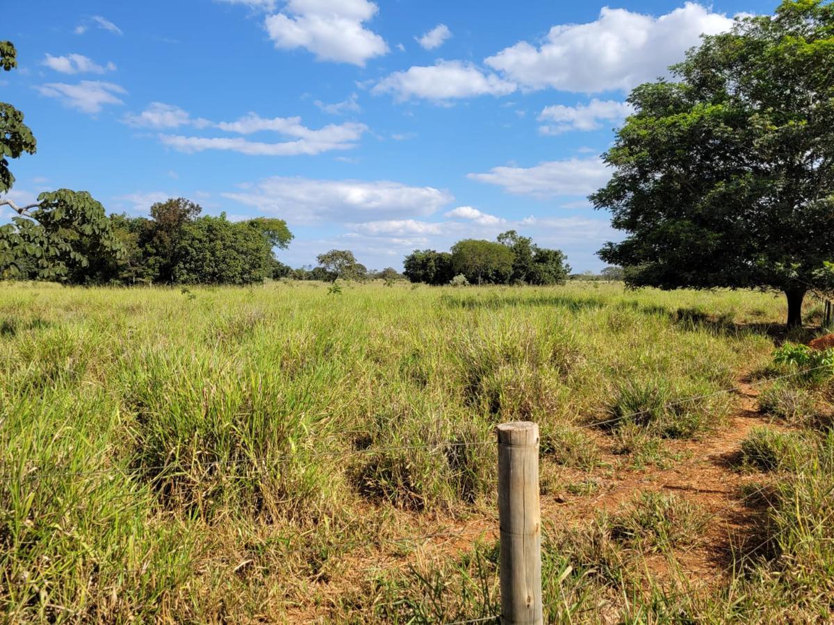 Fazenda, Centro, 0 Quarto, 0 Vaga, 1 Suíte