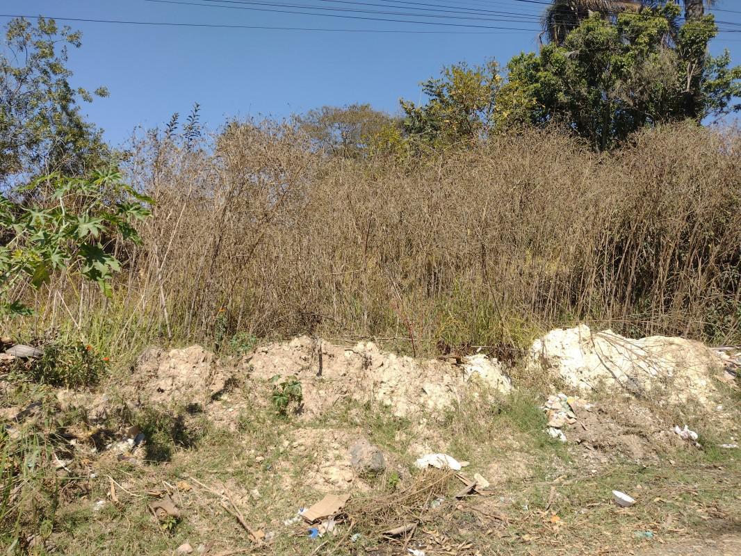 Lote, Chácara São Geraldo, 0 Quarto, 0 Vaga