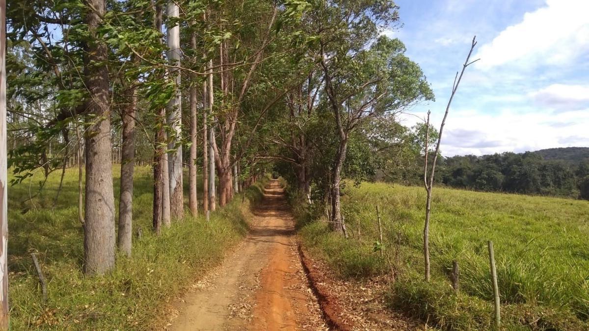 Fazenda, Zona Rural, 4 Quartos, 2 Vagas
