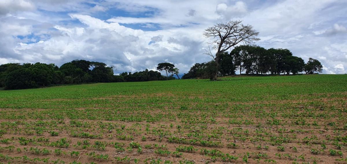 Fazenda, Centro, 1 Quarto, 1 Vaga, 1 Suíte