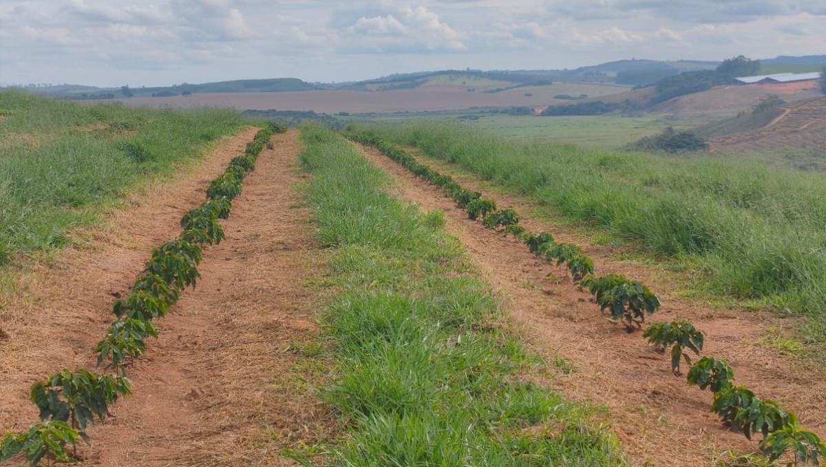 Fazenda, Zona Rural, 0 Quarto, 0 Vaga