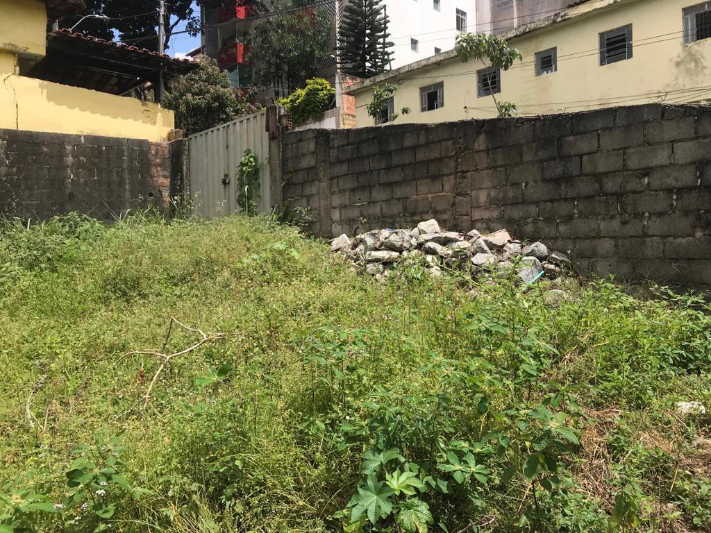 Lote, Padre Eustáquio, 0 Quarto, 0 Vaga