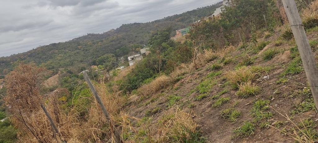 Lote, Santa Maria, 0 Quarto, 0 Vaga