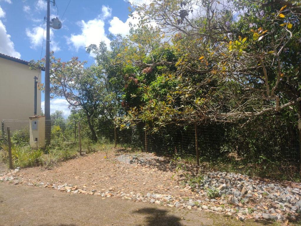 Fazenda, Adelmolândia, 0 Quarto, 0 Vaga