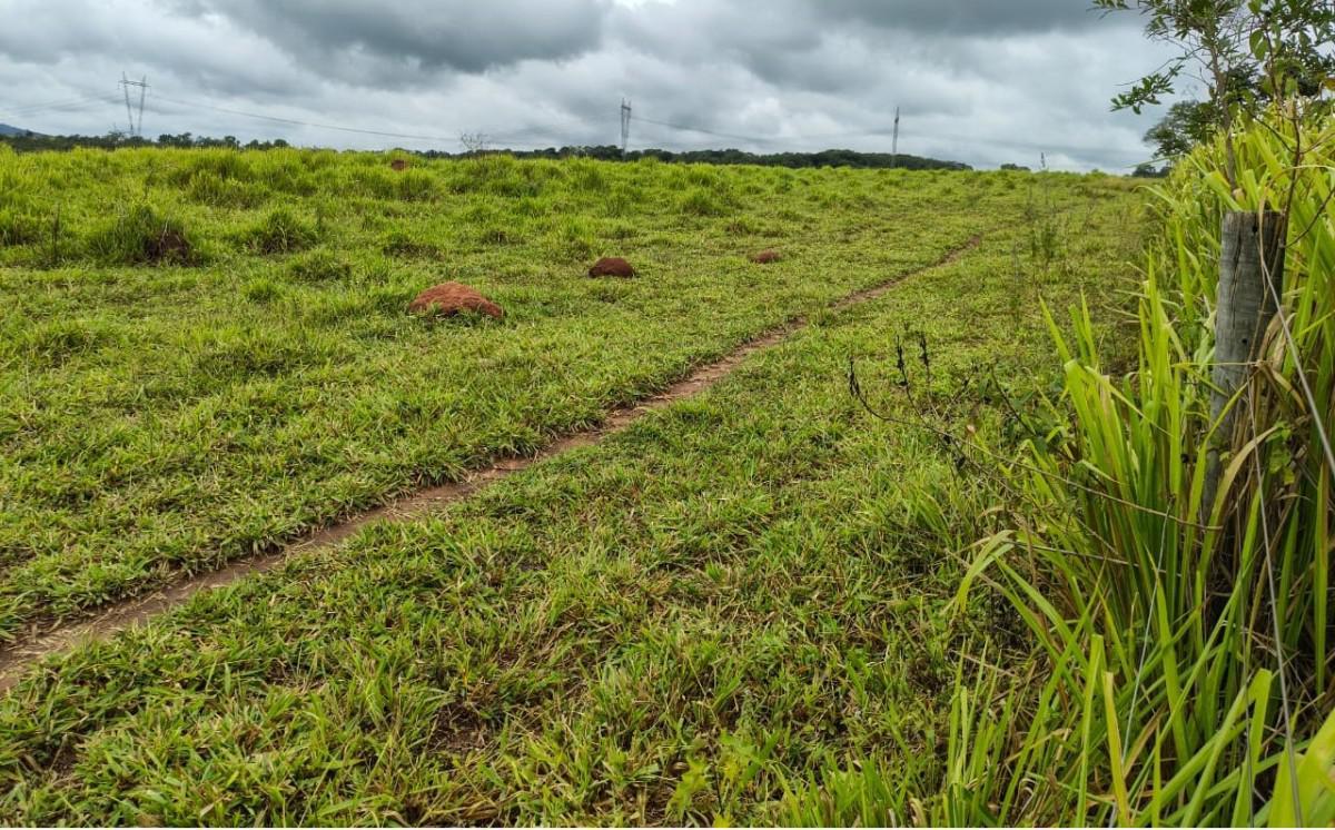 Fazenda, Zona Rural, 5 Quartos, 0 Vaga