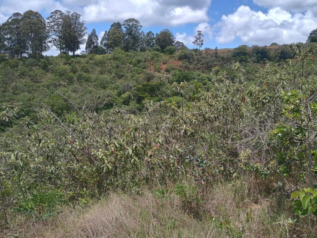 Fazenda, Zona Rural, 0 Quarto, 0 Vaga