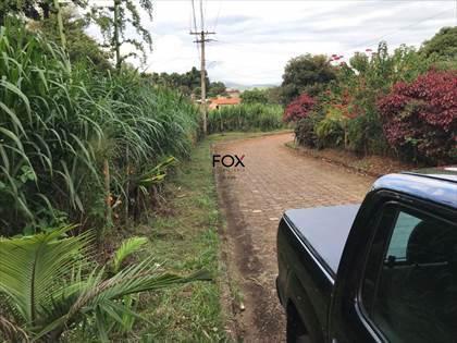 Lote, Nacional, 0 Quarto, 0 Vaga
