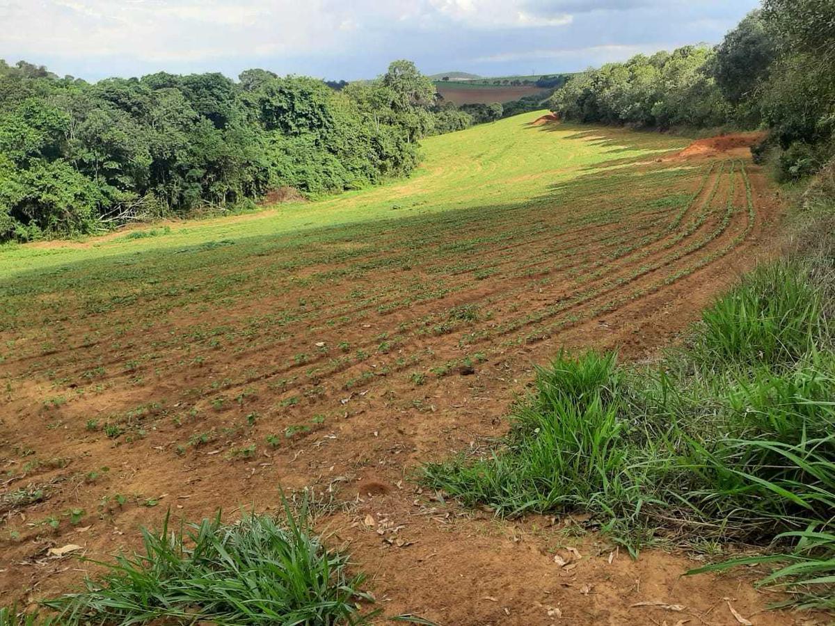 Fazenda, Centro, 0 Quarto, 0 Vaga