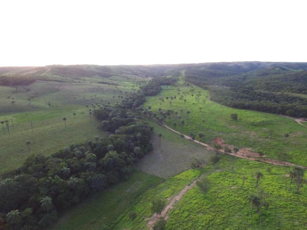 Fazenda, Zona Rural, 6 Quartos, 0 Vaga