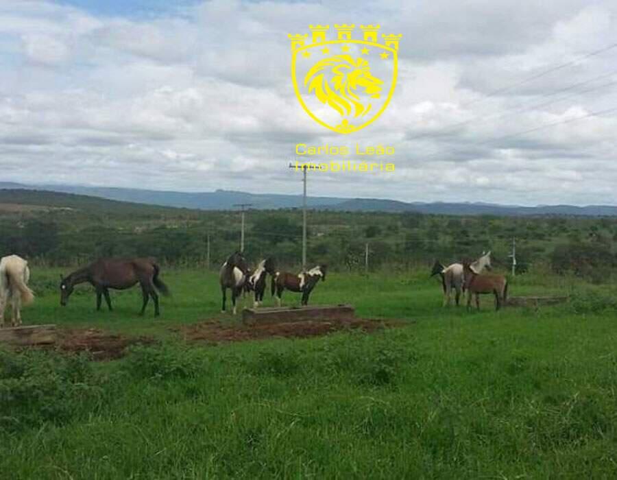 Fazenda, Centro, 3 Quartos, 4 Vagas, 1 Suíte
