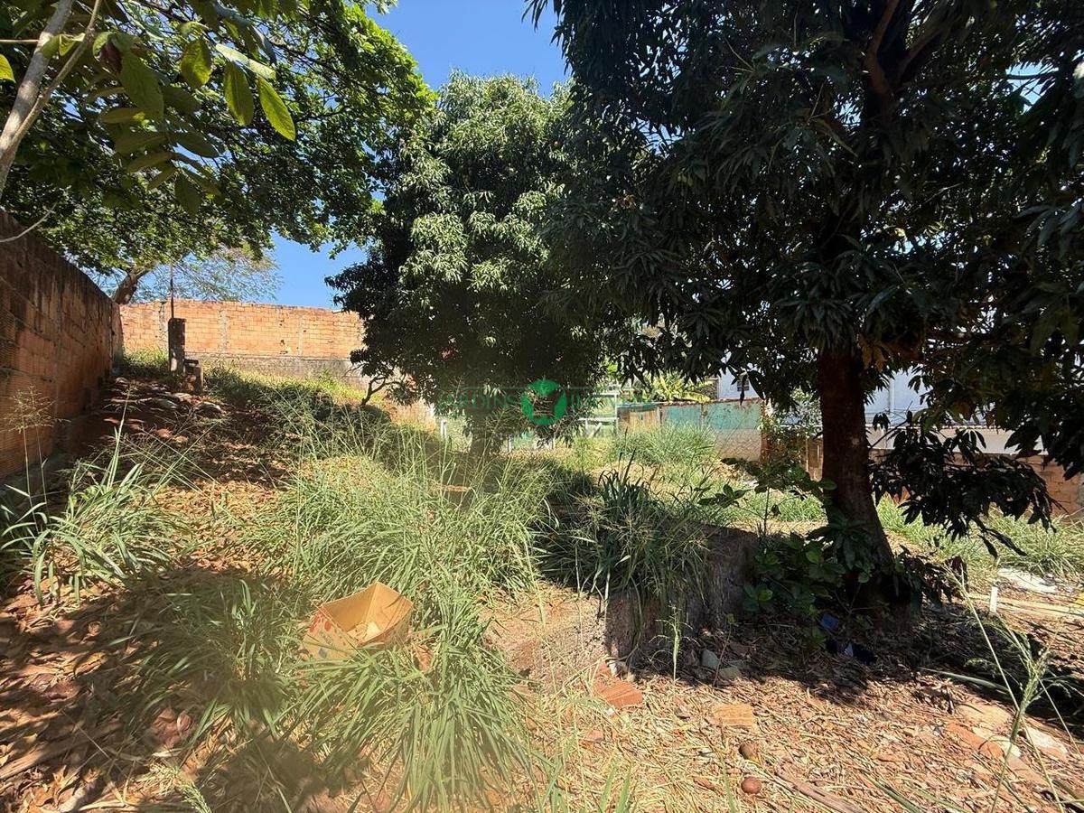 Lote, Universitário, 0 Quarto, 0 Vaga