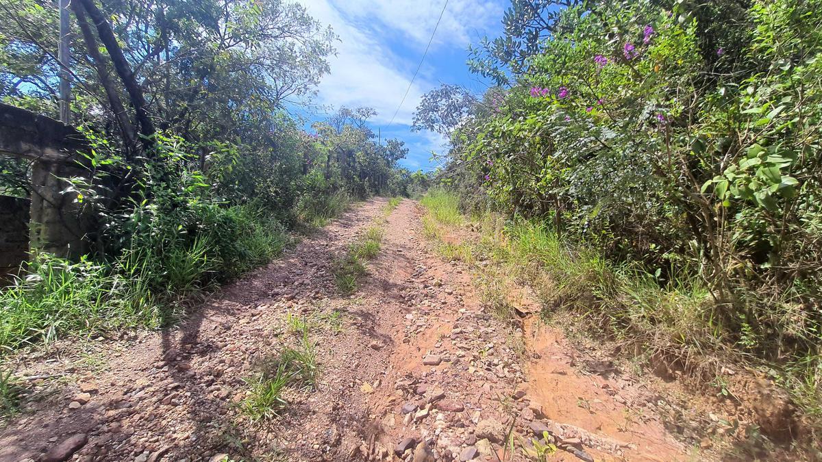 Lote, Nossa Senhora de Fátima, 0 Quarto, 0 Vaga