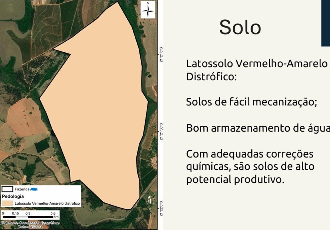 Fazenda, Centro, 0 Quarto, 0 Vaga, 1 Suíte
