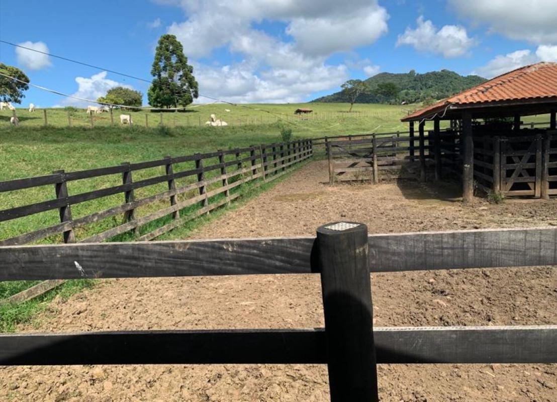 Fazenda, Zona Rural, 3 Quartos, 0 Vaga